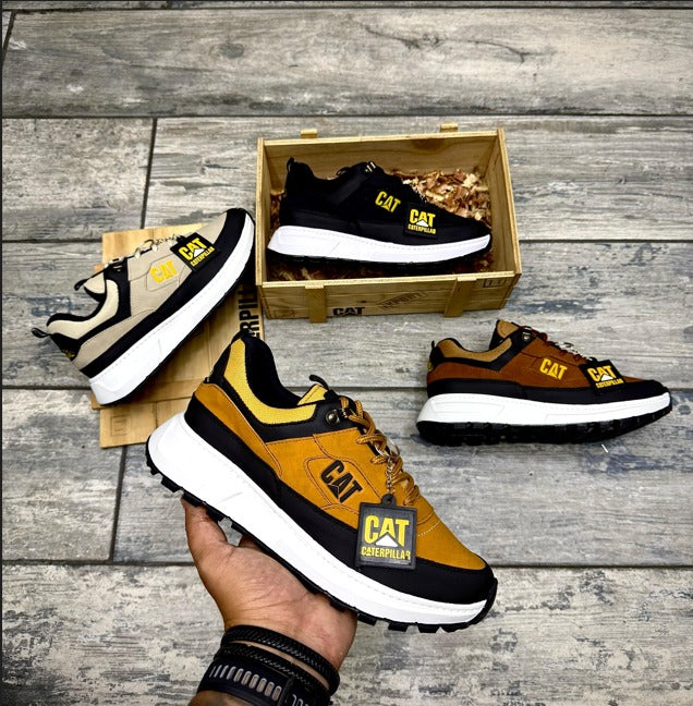 COLECCION CAT FALCON PREMIUM + CAJA + LLAVERO